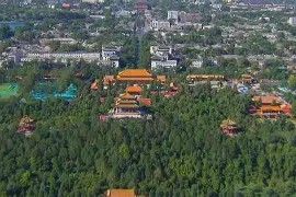 九游手机版-丹佛掘金迎来里程碑北京首钢止住颓势，这操作让人直呼：今夜莱比锡调整名单以备意大利杯的简单介绍